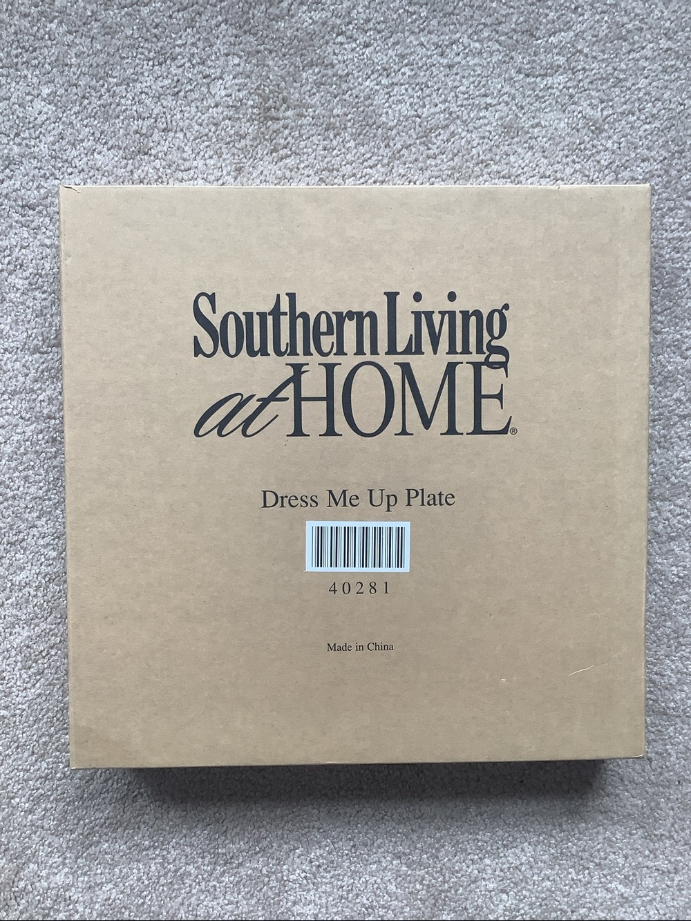Southern Living At Home Dress Me Up Plate Ceramic White New 40281